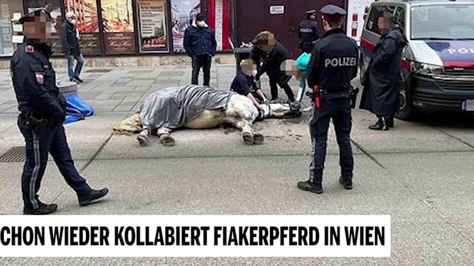 Fiaker Pferd In Wien Kollabiert